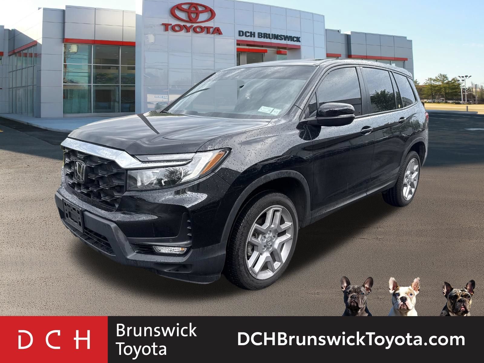 2024 Honda Passport EX-L -
                  North Brunswick Township, NJ