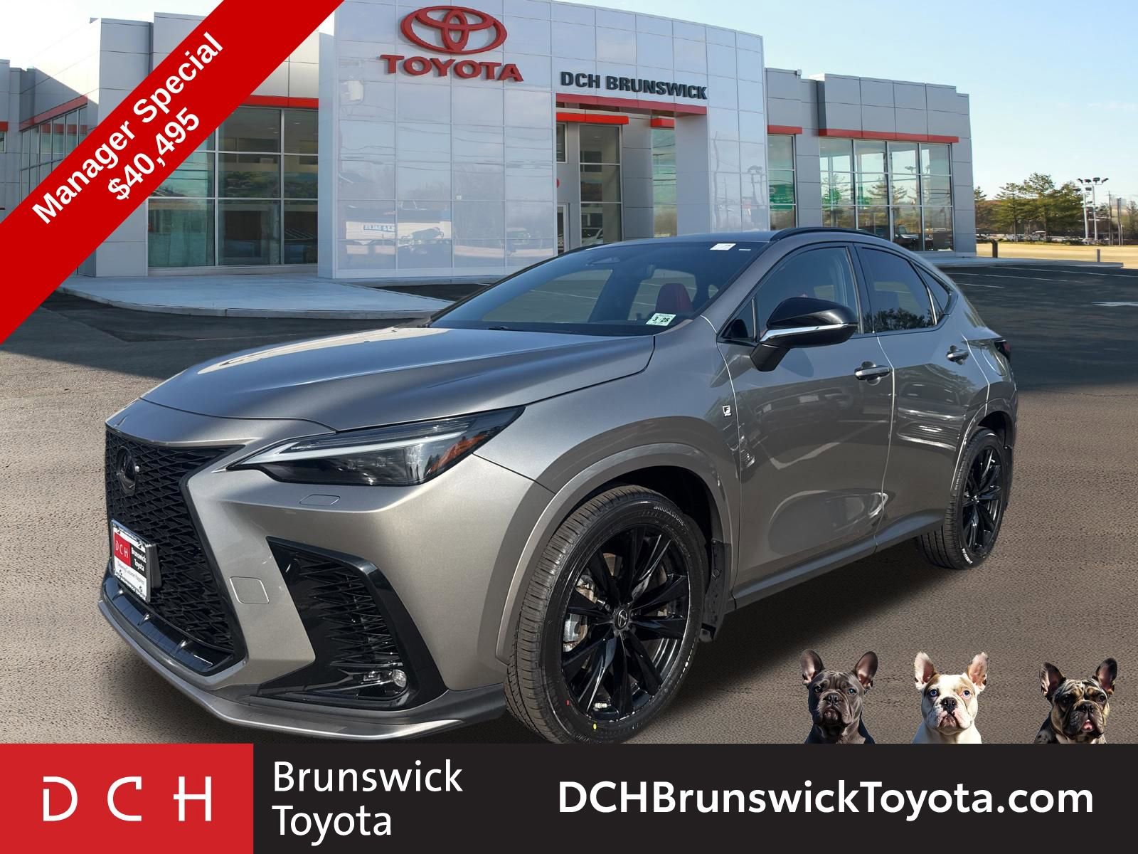 2023 Lexus NX 350 350 F-Sport AWD's photo
