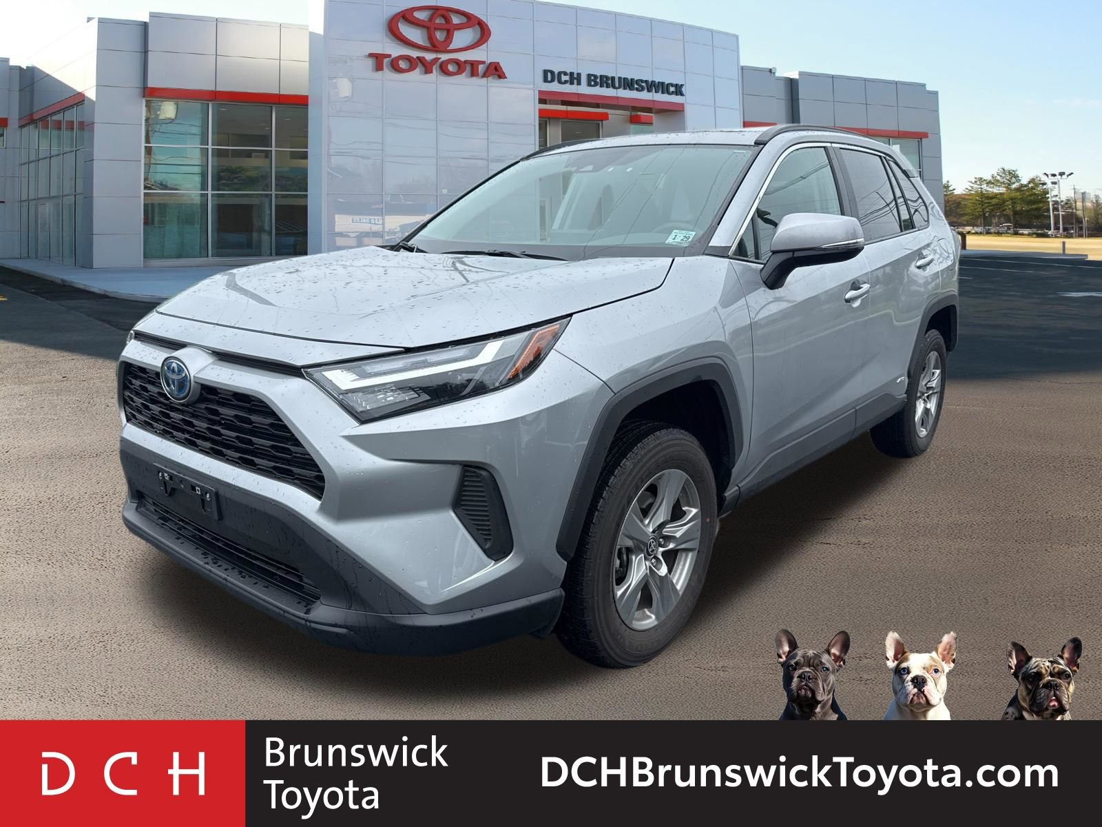 2024 Toyota RAV4 Hybrid XLE AWD's photo