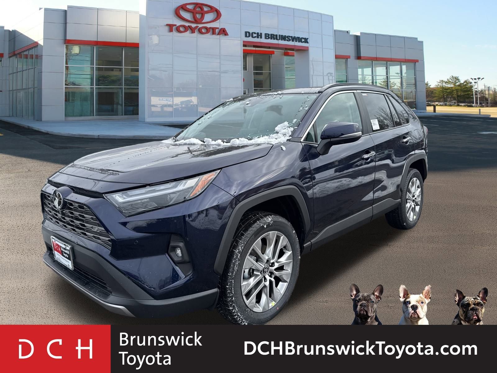 2025 Toyota RAV4 Limited's photo