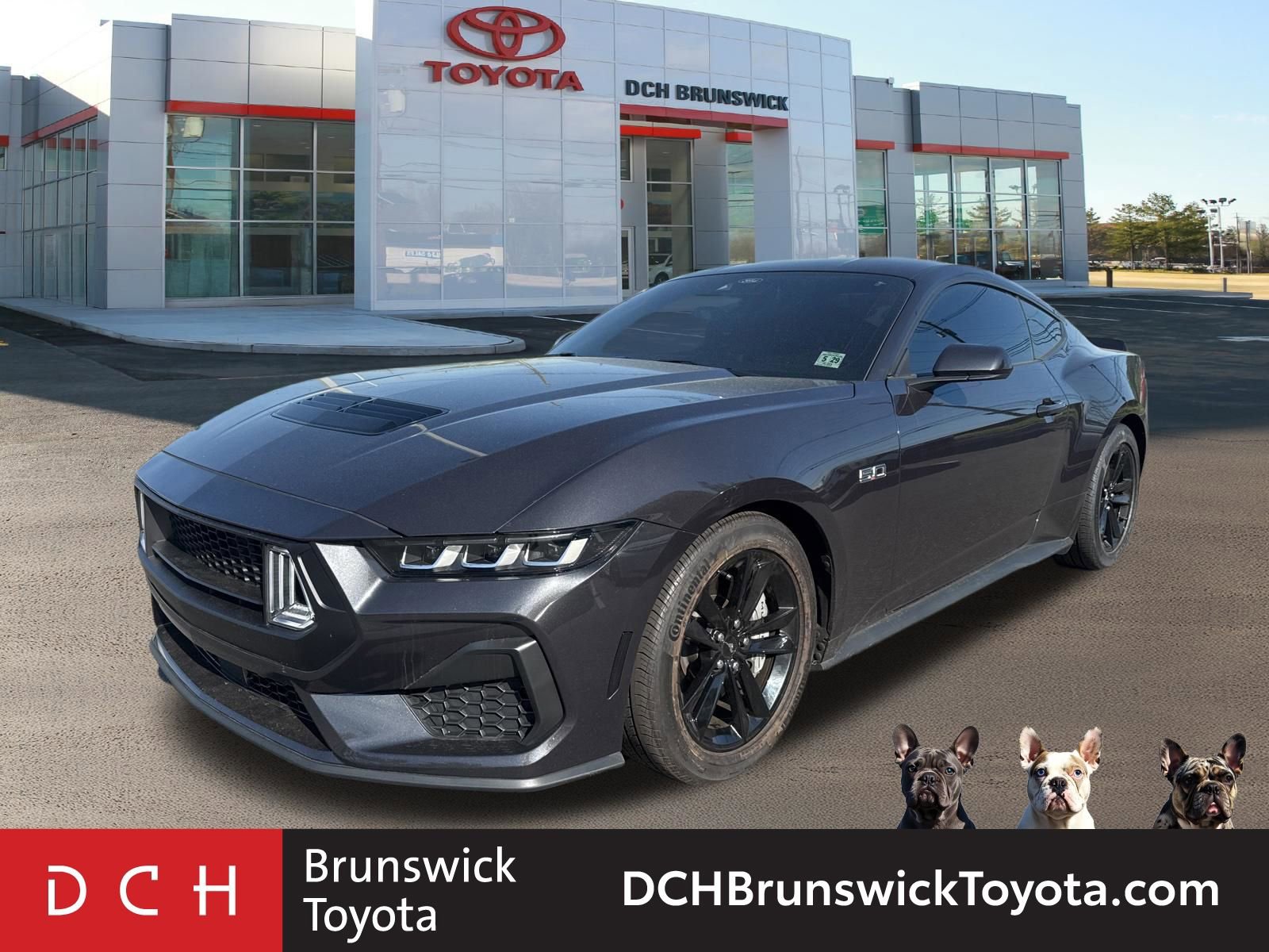 2024 Ford Mustang GT Fastback's photo