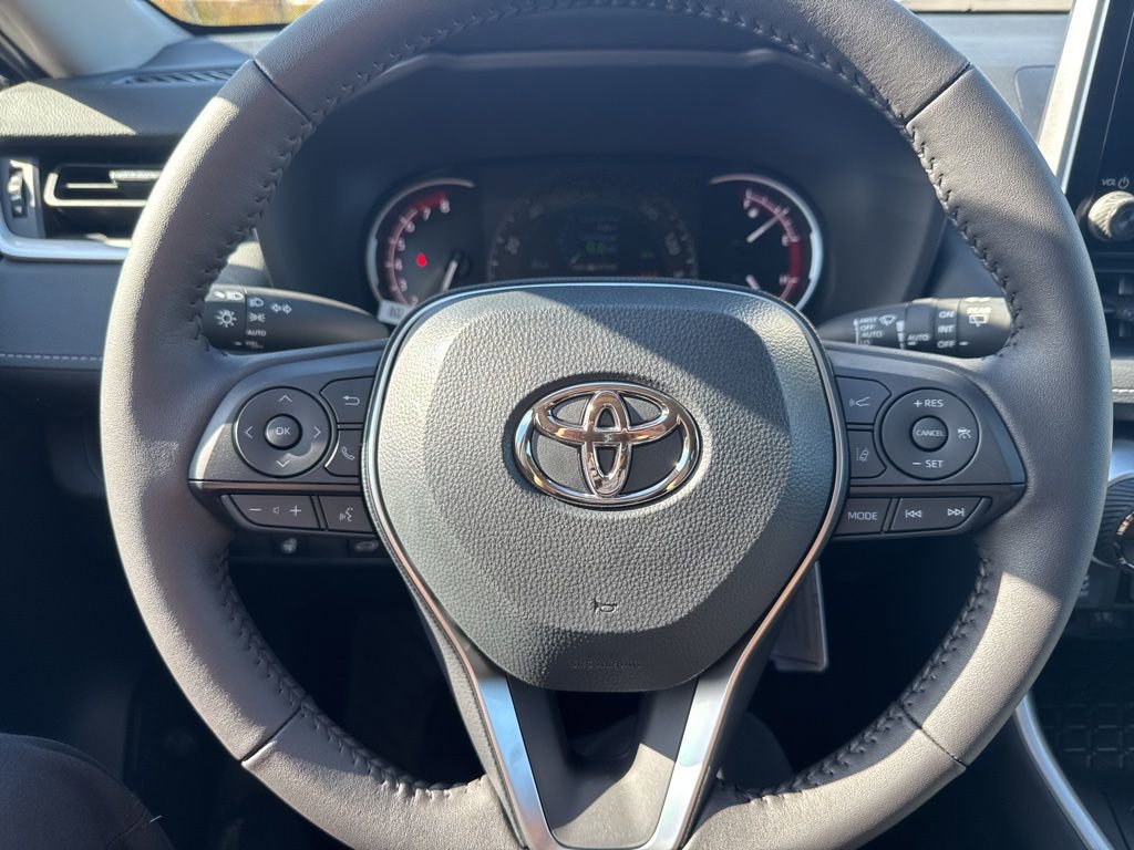 Thumbnail: 2025 Toyota RAV4 - 16