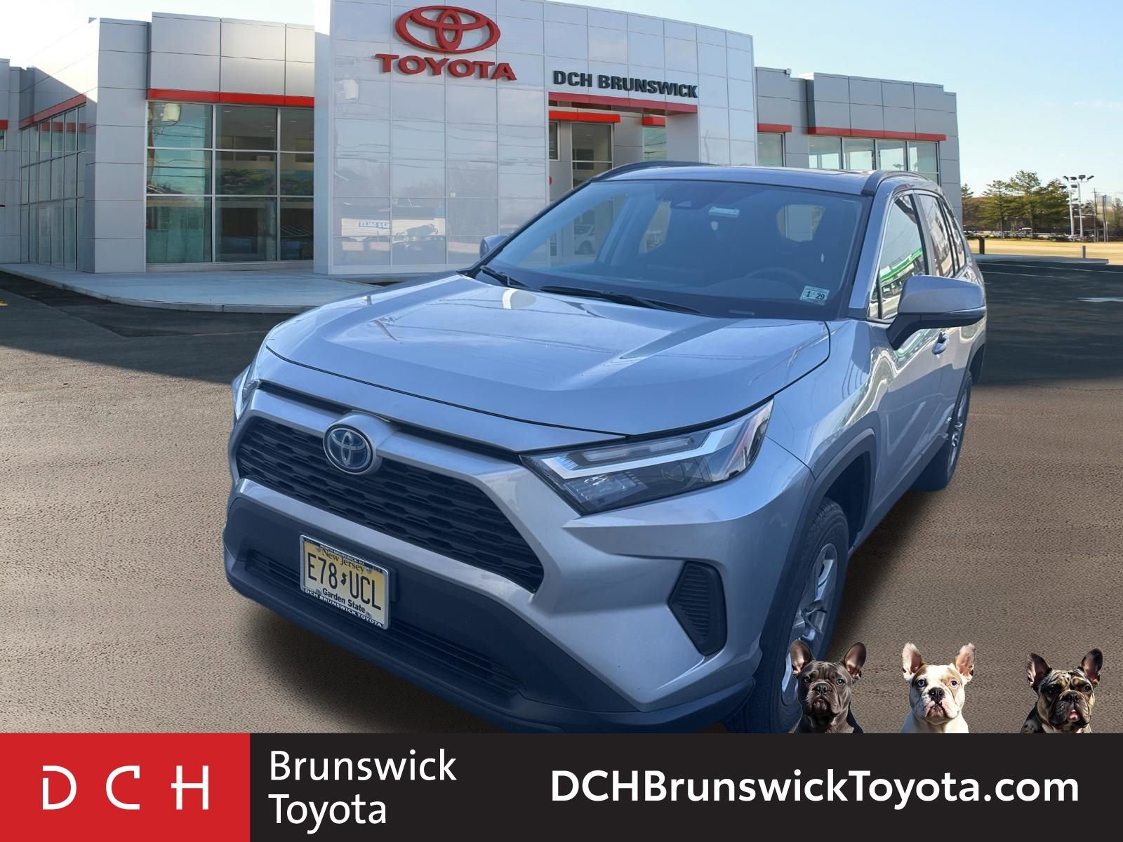 2024 Toyota RAV4 XLE -
                  North Brunswick Township, NJ