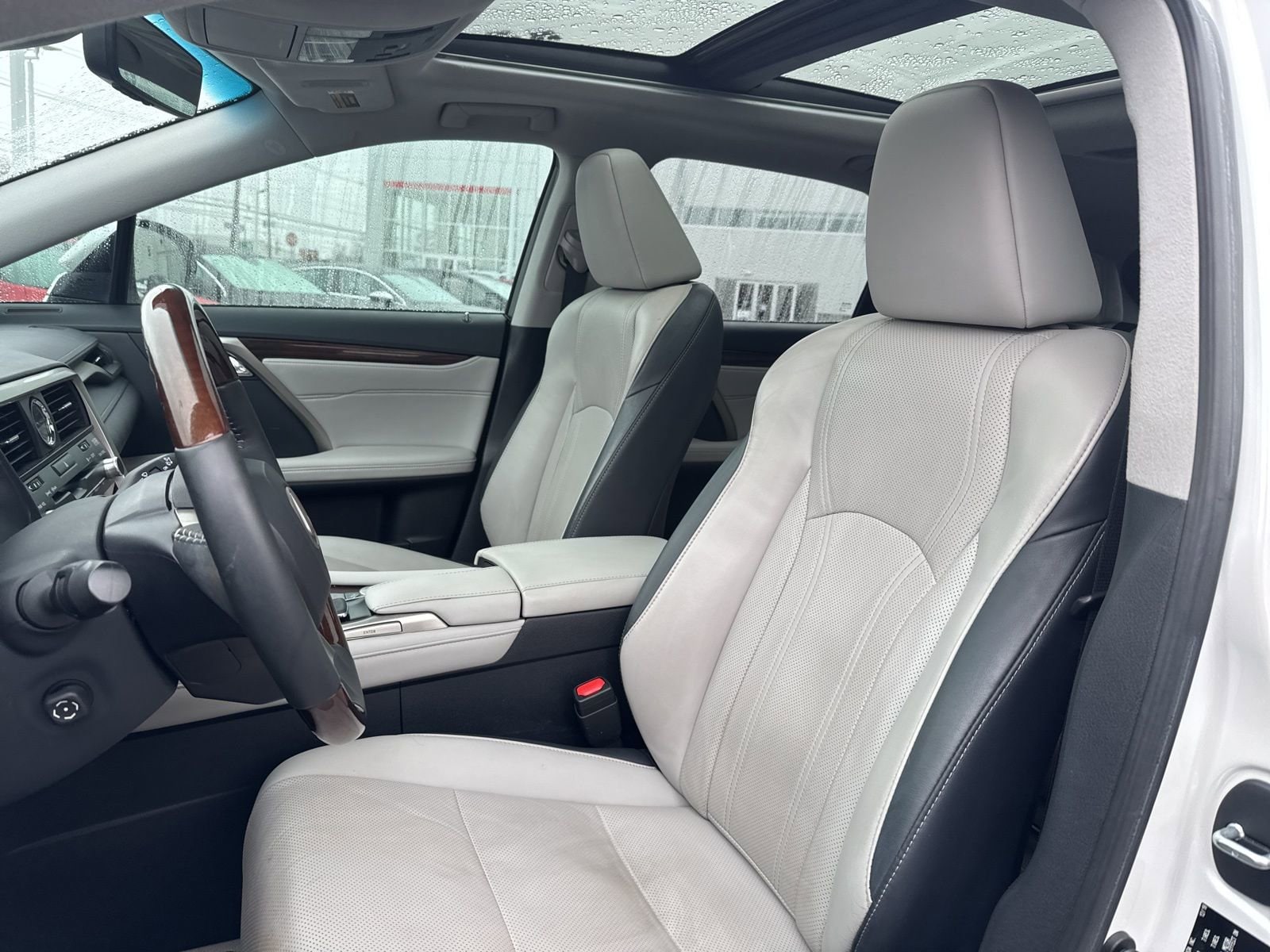 Thumbnail: 2019 Lexus RX - 19