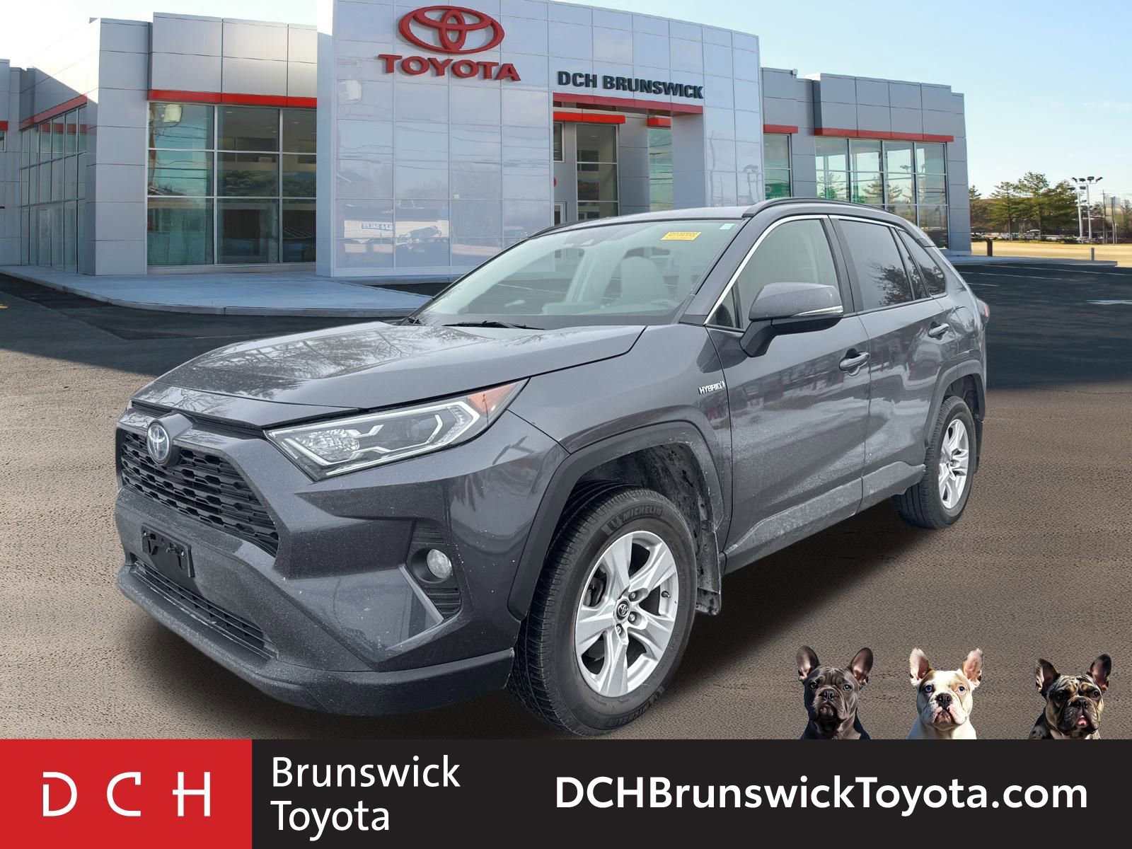 2019 Toyota RAV4 XLE -
                  North Brunswick Township, NJ