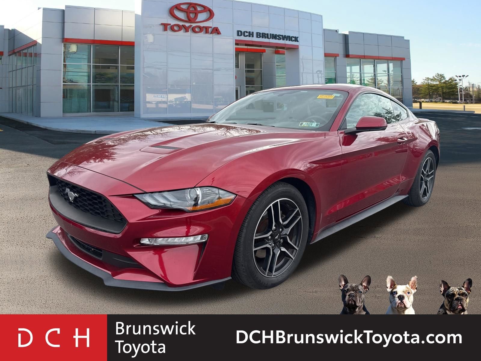 2019 Ford Mustang EcoBoost Premium