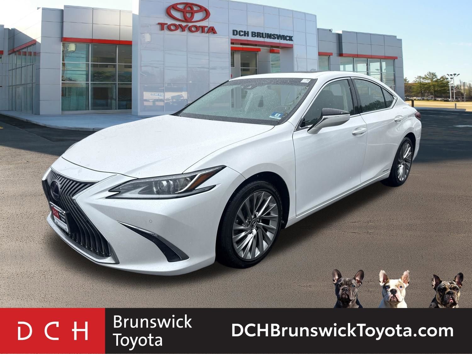 2020 Lexus ES 300h 300h Luxury's photo