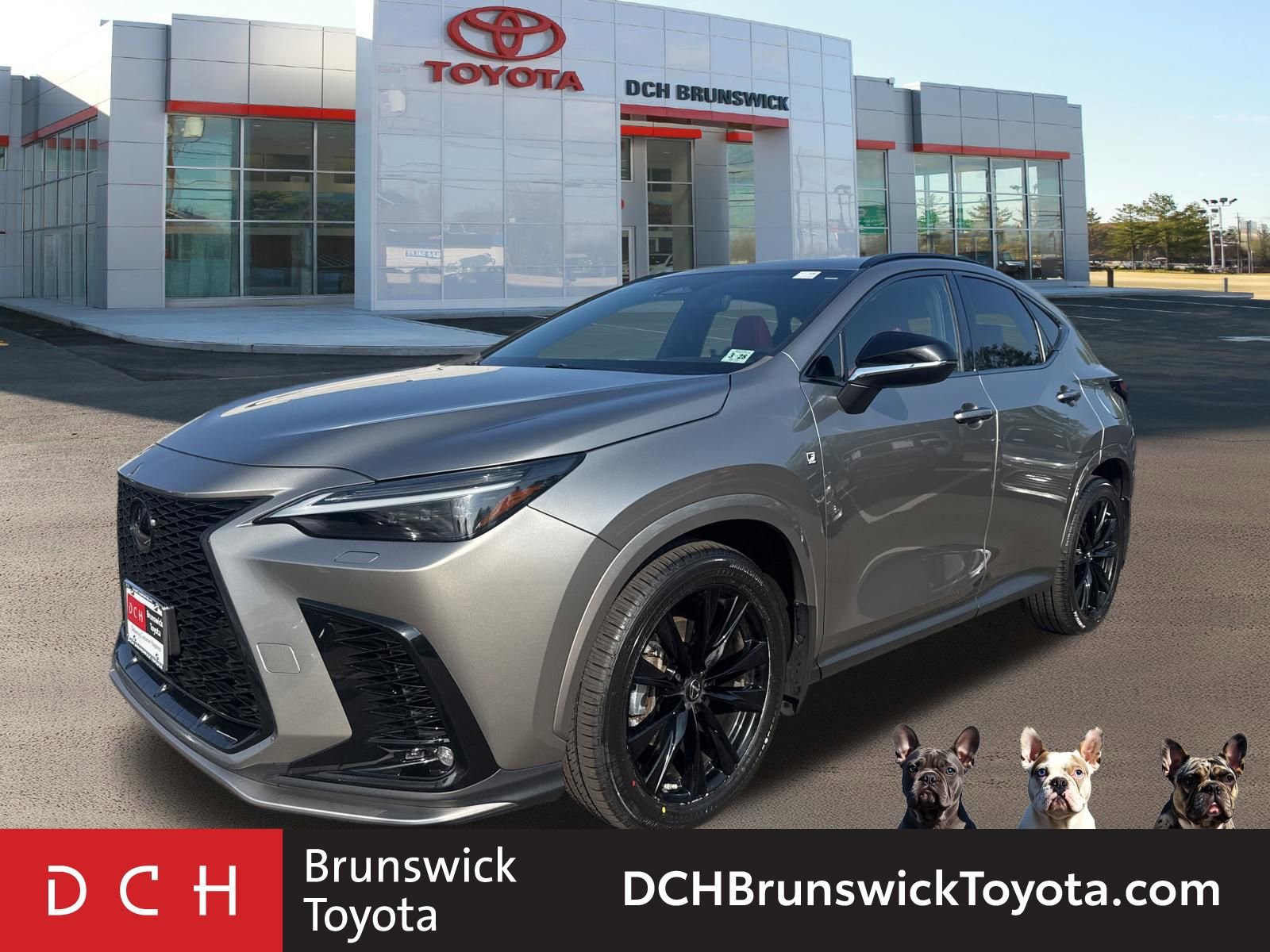 2023 Lexus NX  -
                  North Brunswick Township, NJ