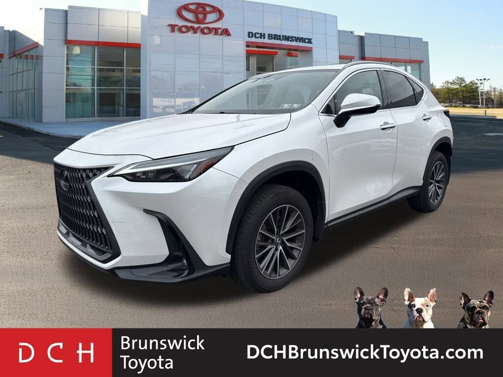 Used 2024 Lexus NX 350  SUV