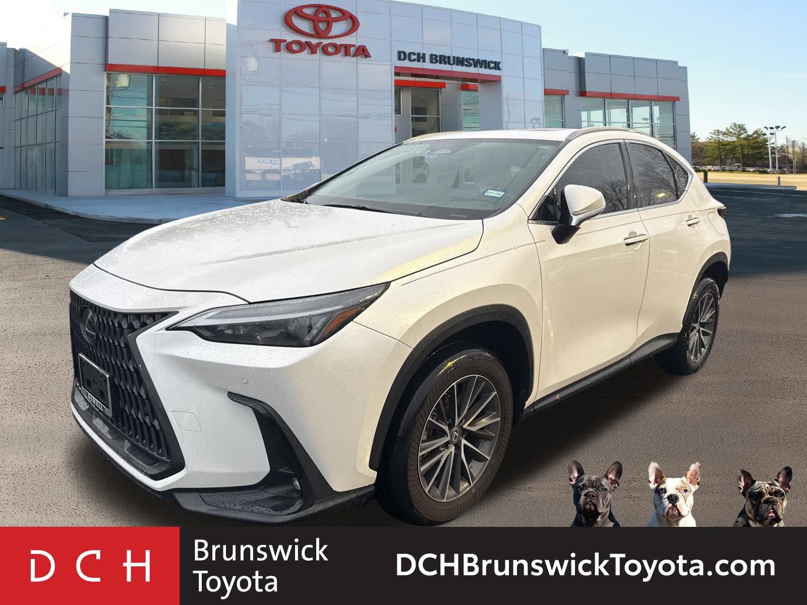 2023 Lexus NX 350's photo
