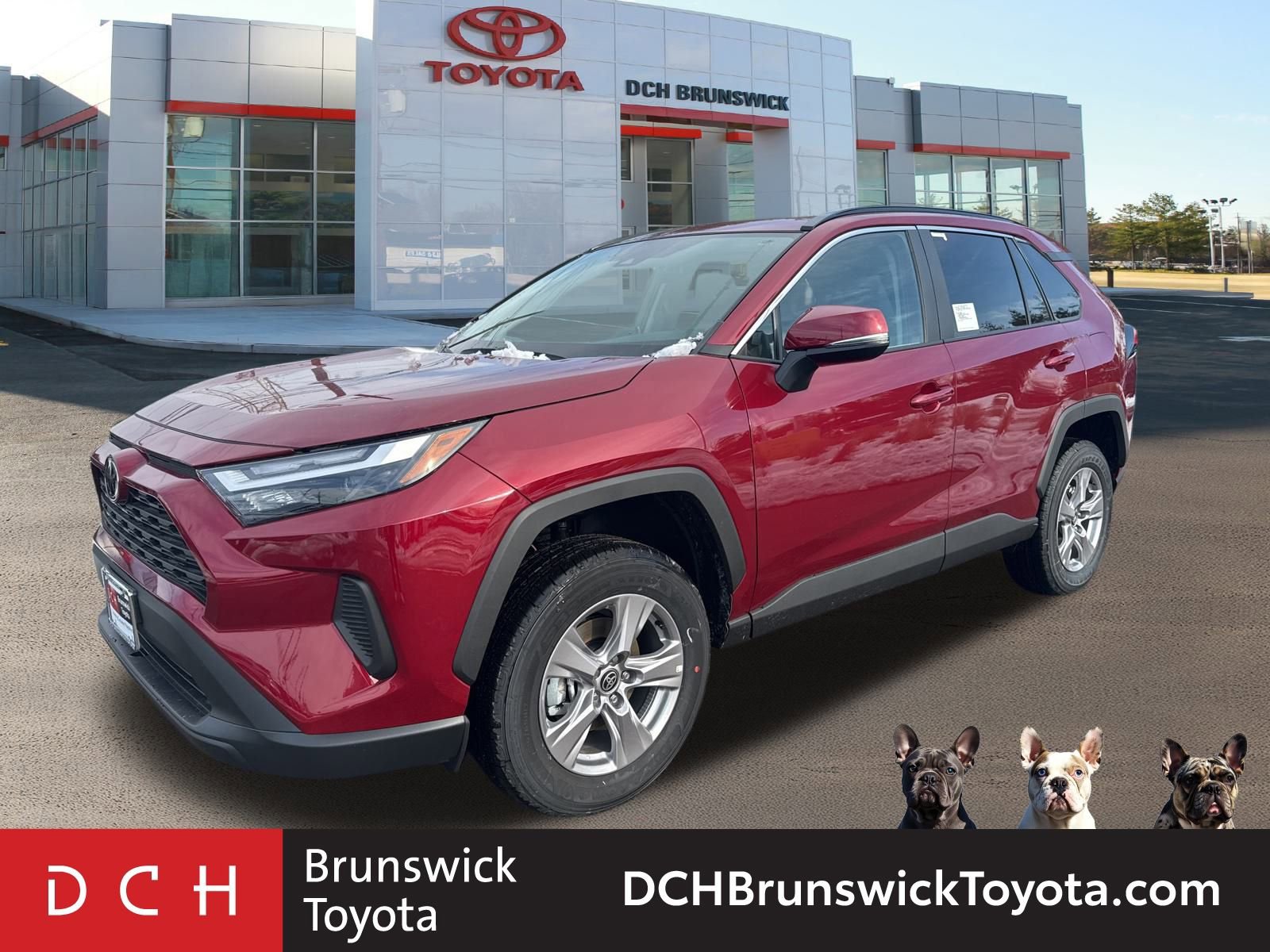 2025 Toyota RAV4 XLE's photo