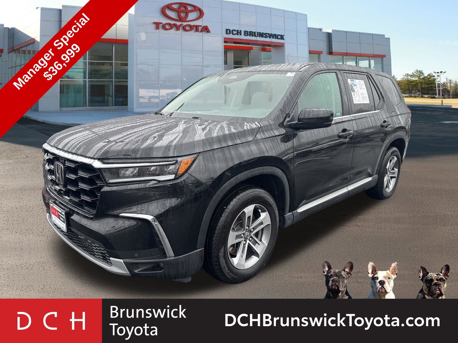2024 Honda Pilot EX-L -
                  North Brunswick Township, NJ