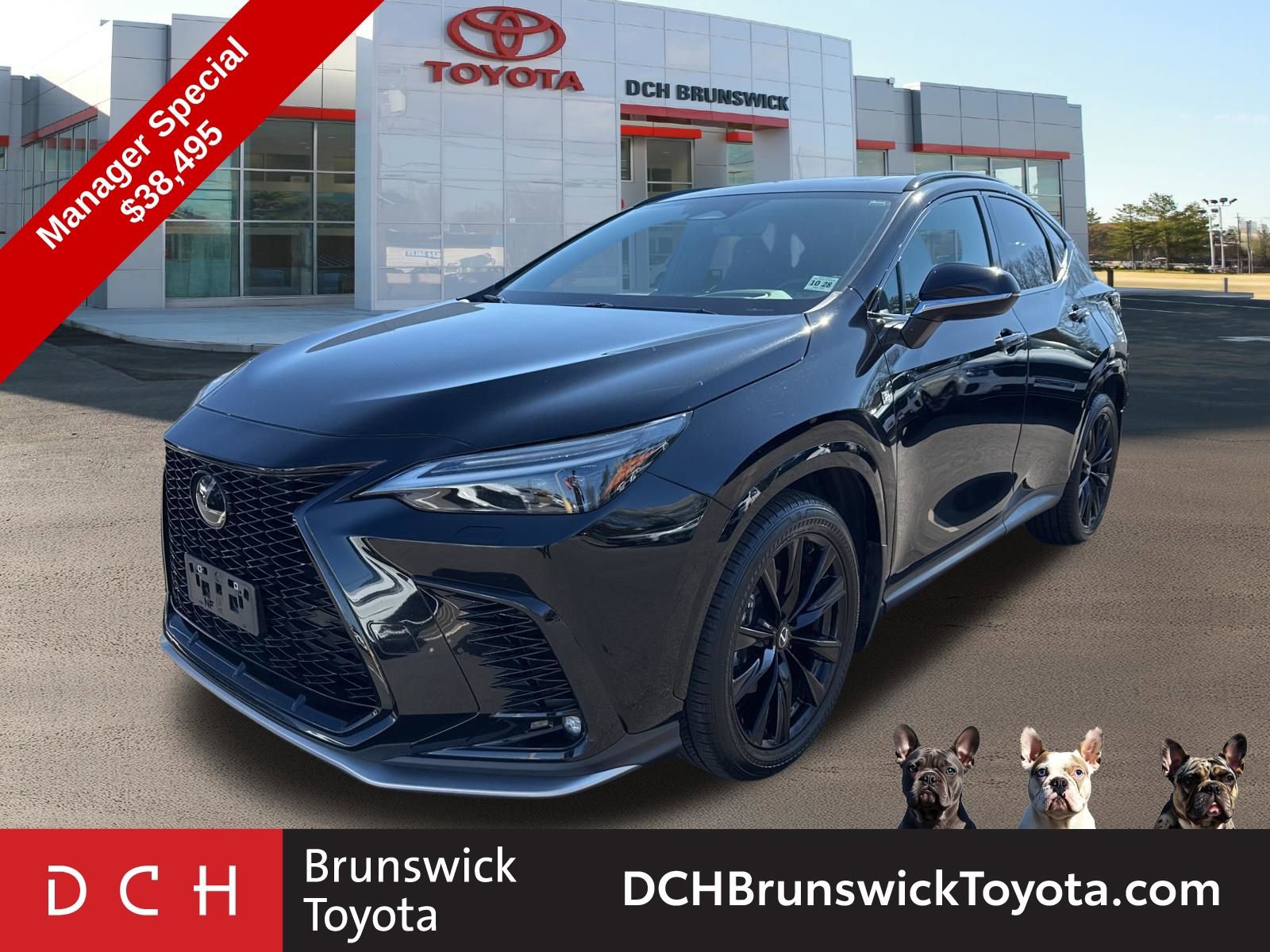 2024 Lexus NX 350 350 F-Sport AWD's photo