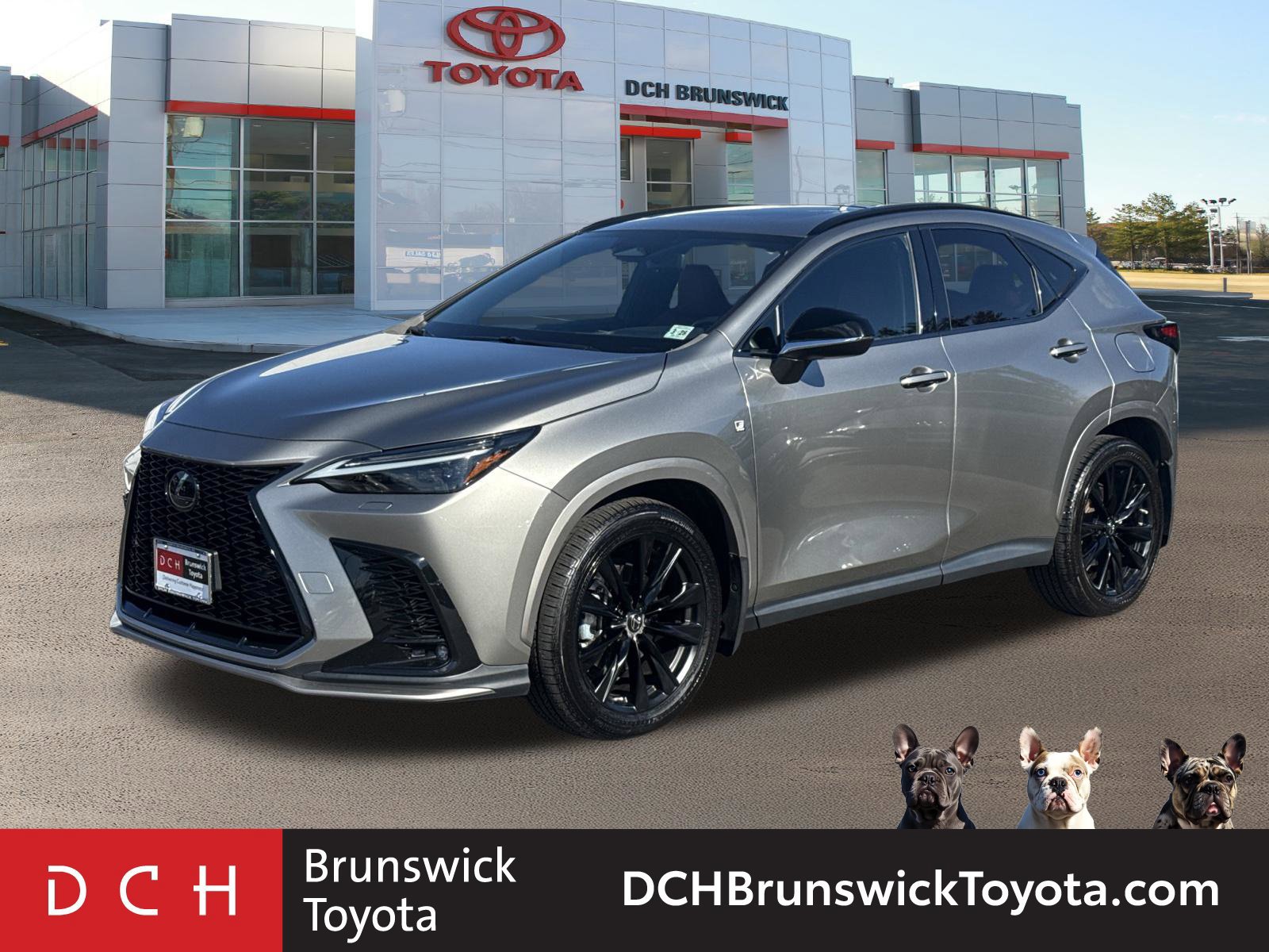 2023 Lexus NX 350