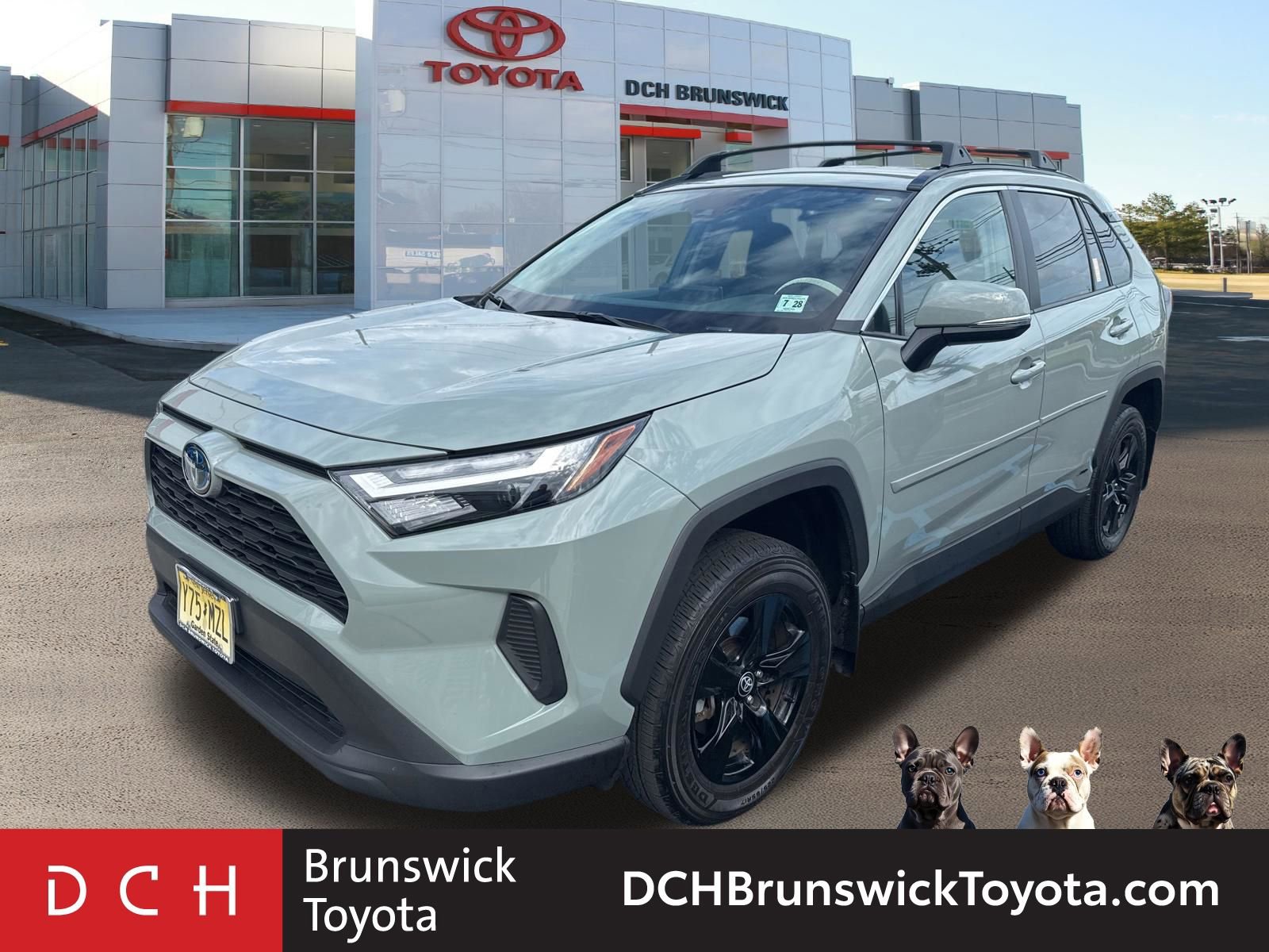 2023 Toyota RAV4 XLE -
                  North Brunswick Township, NJ