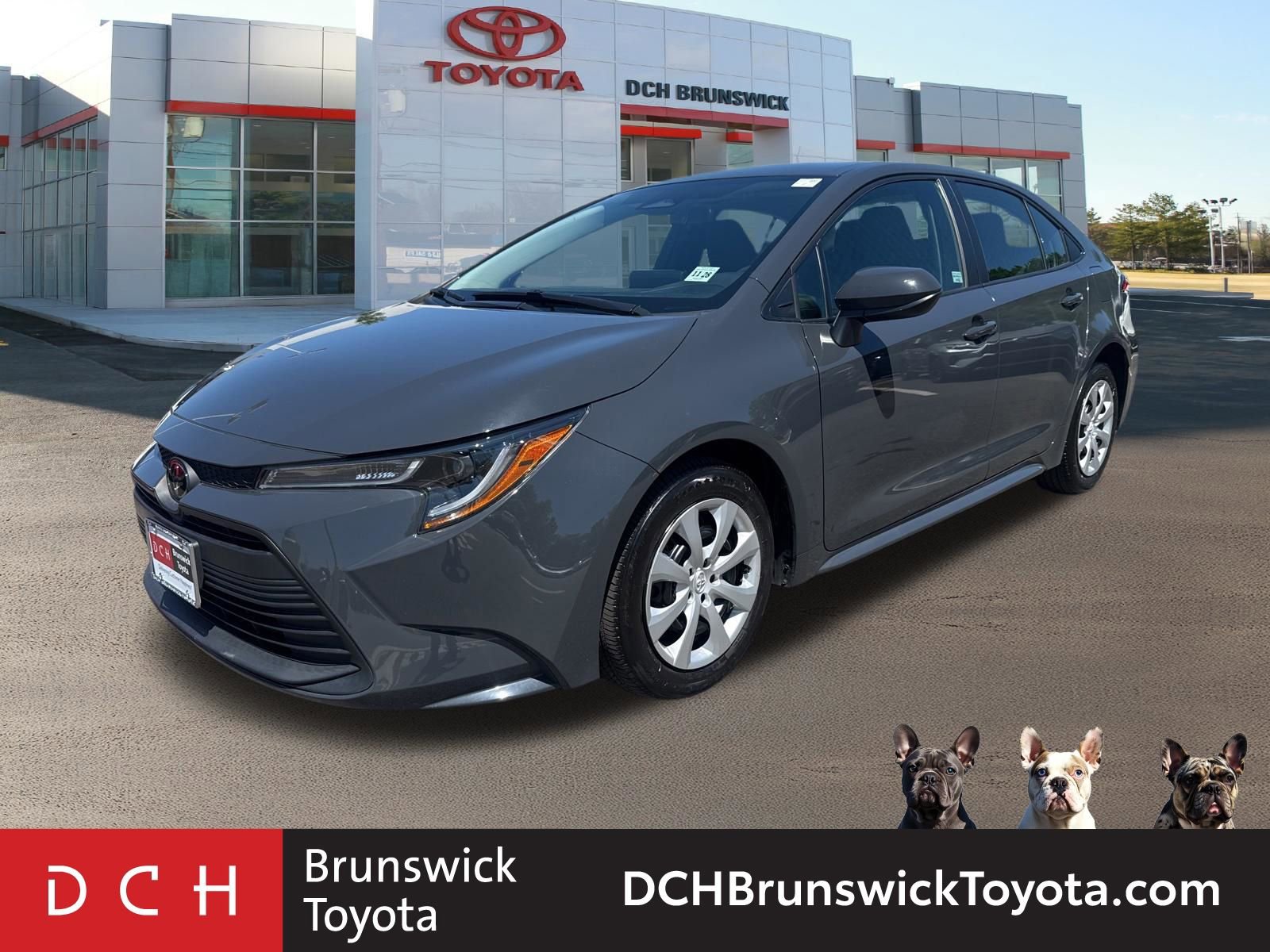 2024 Toyota Corolla LE CVT's photo