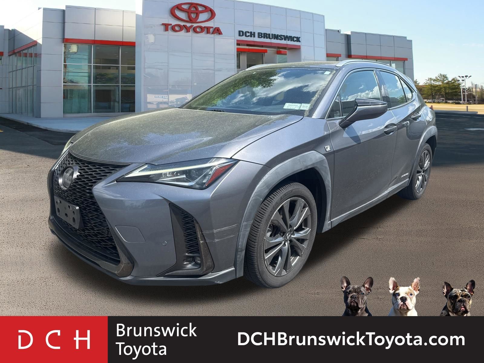 2019 Lexus UX 250h -
                  North Brunswick Township, NJ
