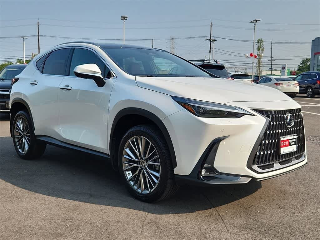 2022 Lexus NX 350h Luxury photo 3