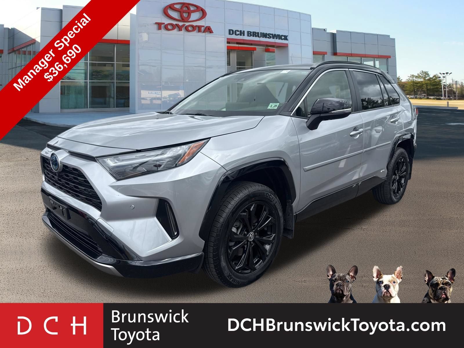 2024 Toyota RAV4 XSE -
                  North Brunswick Township, NJ