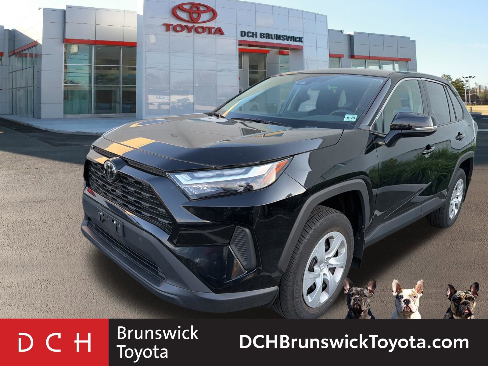 2024 Toyota RAV4 LE AWD's photo