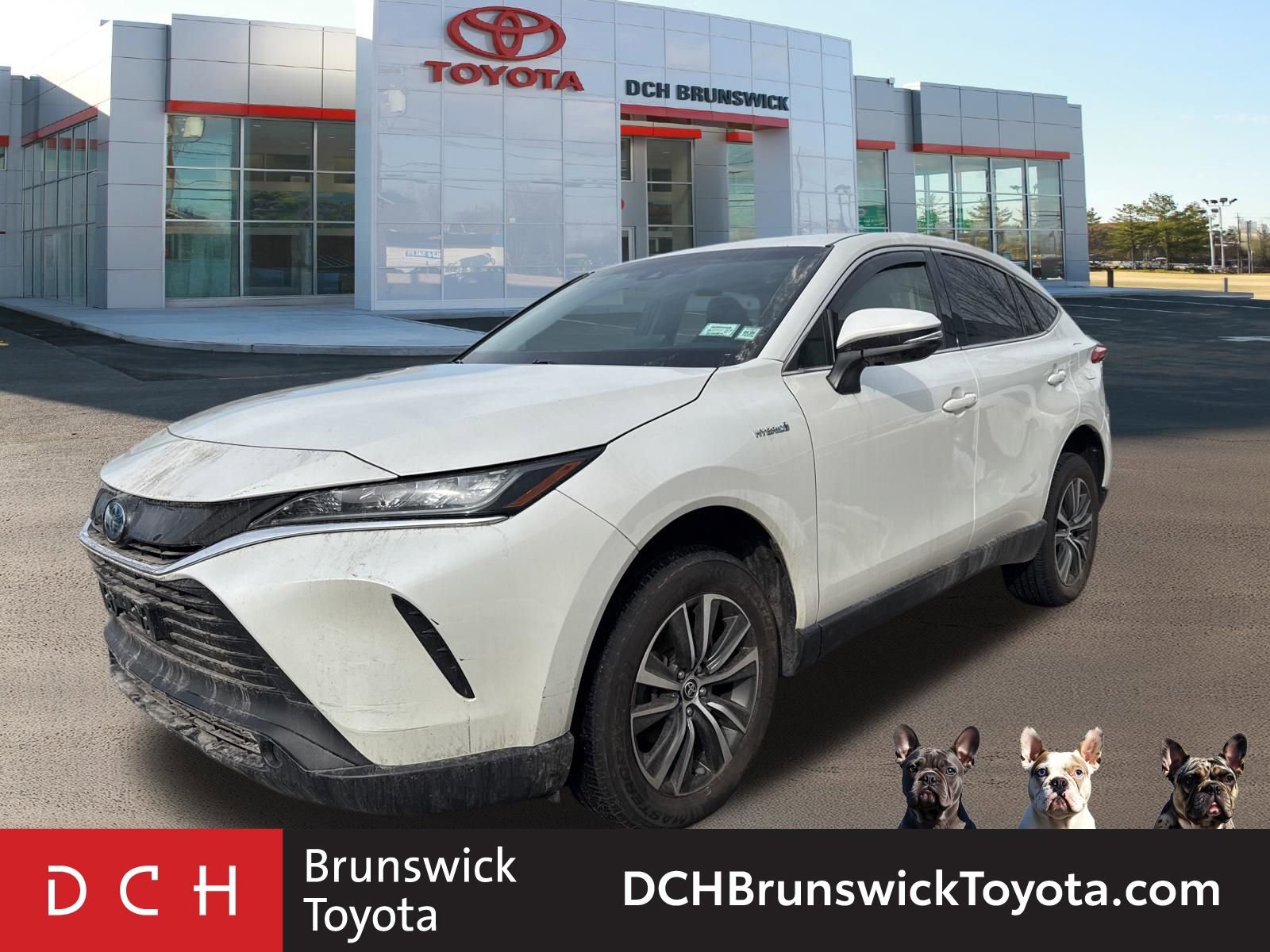 2021 Toyota Venza LE -
                  North Brunswick Township, NJ