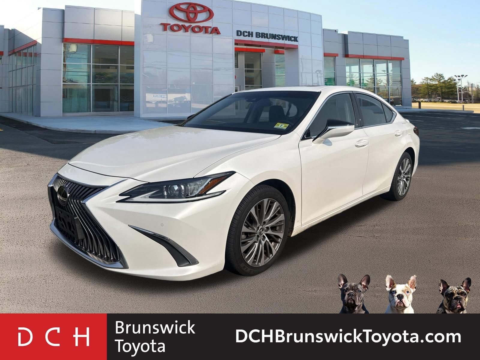 2021 Lexus ES ES 250 AWD photo
