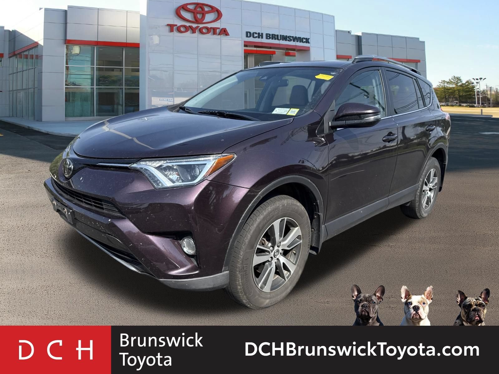2018 Toyota RAV4 XLE -
                  North Brunswick Township, NJ