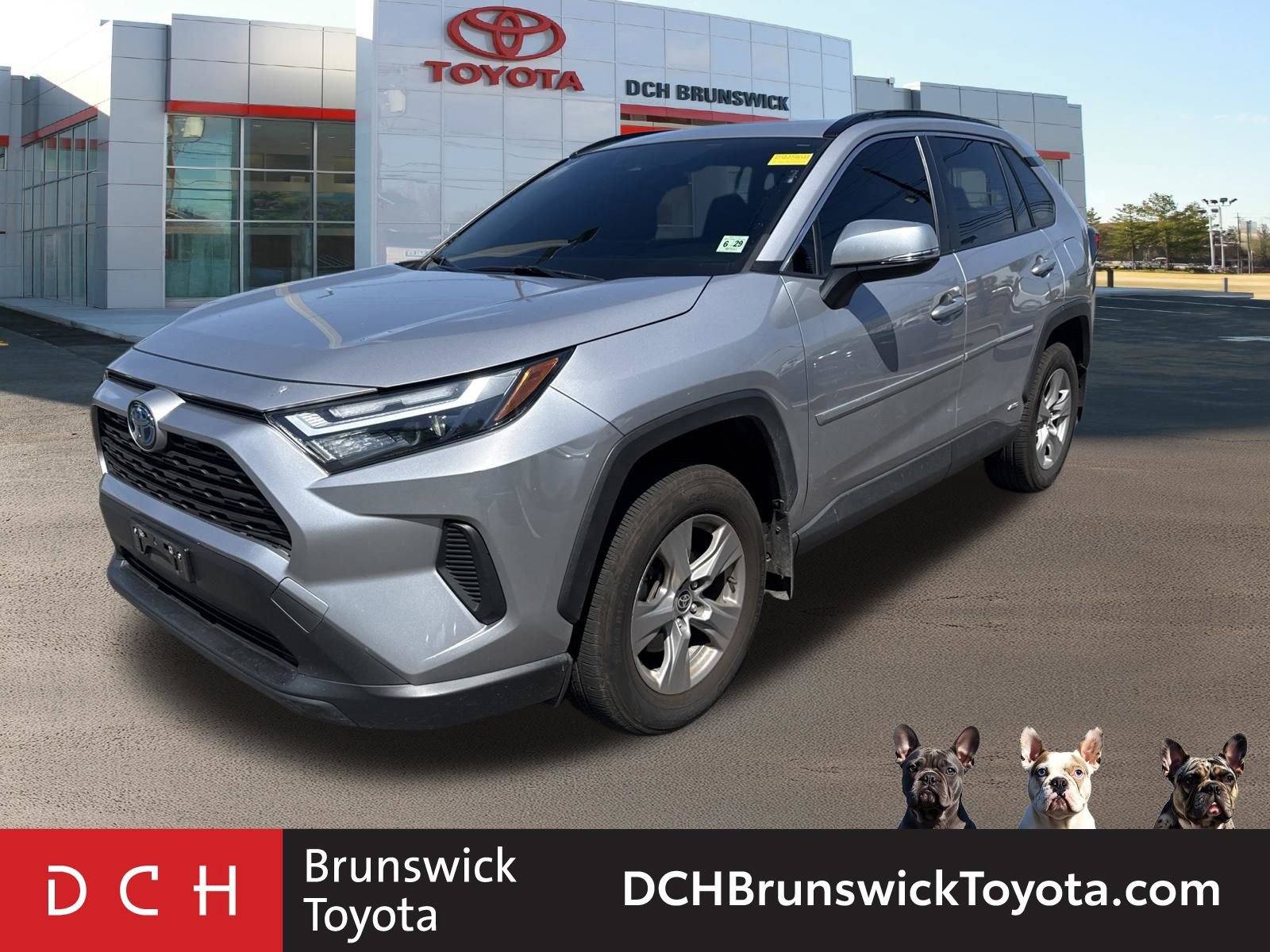 2024 Toyota RAV4 XLE -
                  North Brunswick Township, NJ
