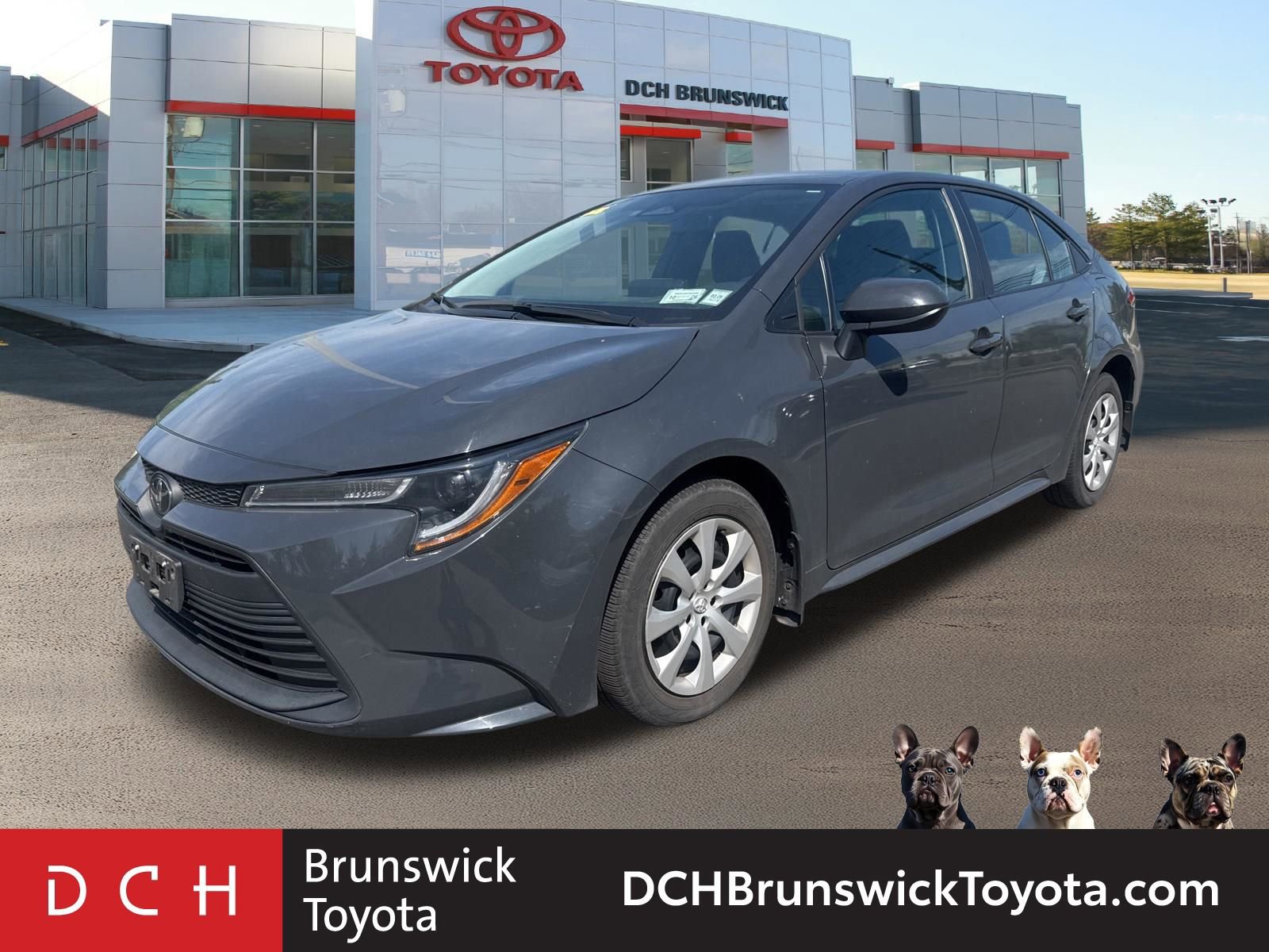 2024 Toyota Corolla LE CVT's photo