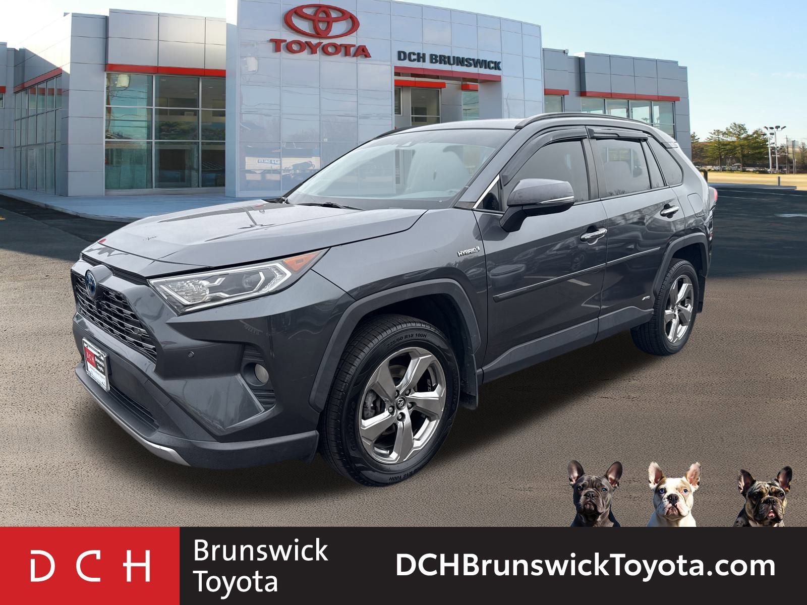 2019 Toyota RAV4 Limited's photo