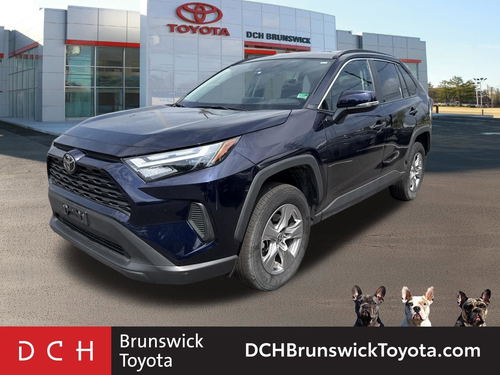 2025 Toyota RAV4 XLE -
                  North Brunswick Township, NJ