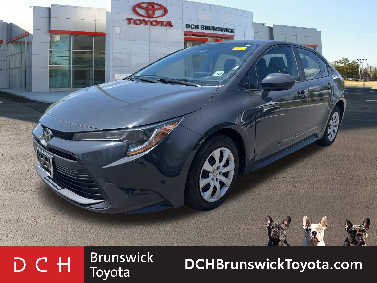 2024 Toyota Corolla LE CVT's photo