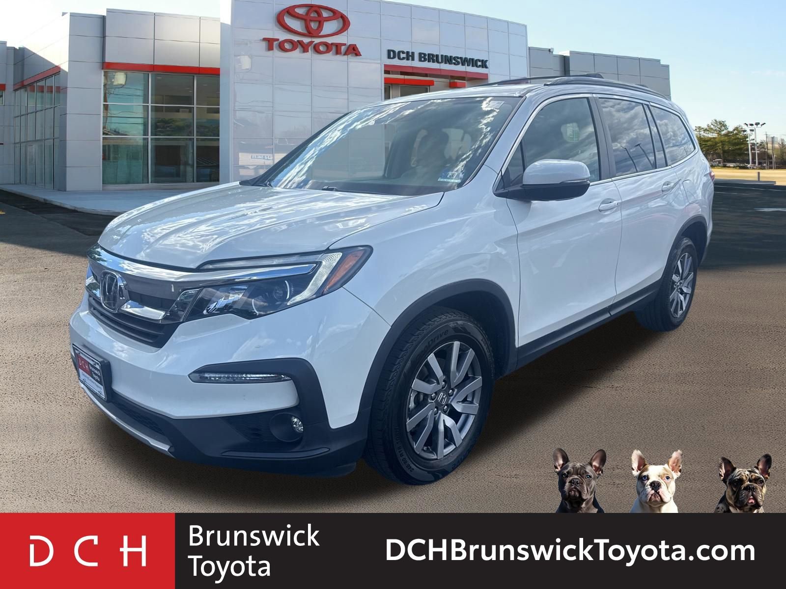 2019 Honda Pilot 4WD EX-L's photo