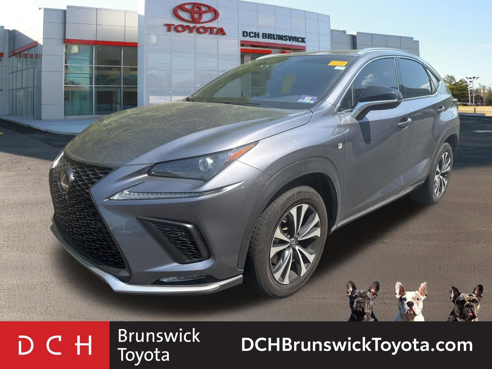 2020 Lexus NX 350 300 F SPORT AWD's photo