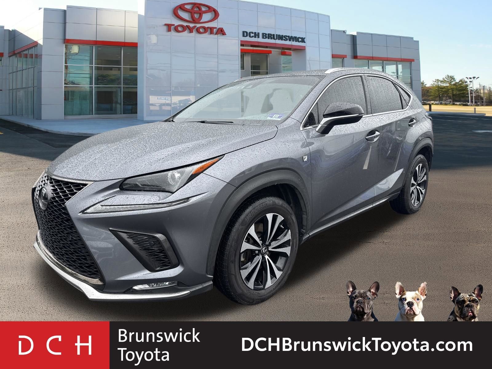 2020 Lexus NX 350 300 F SPORT AWD's photo