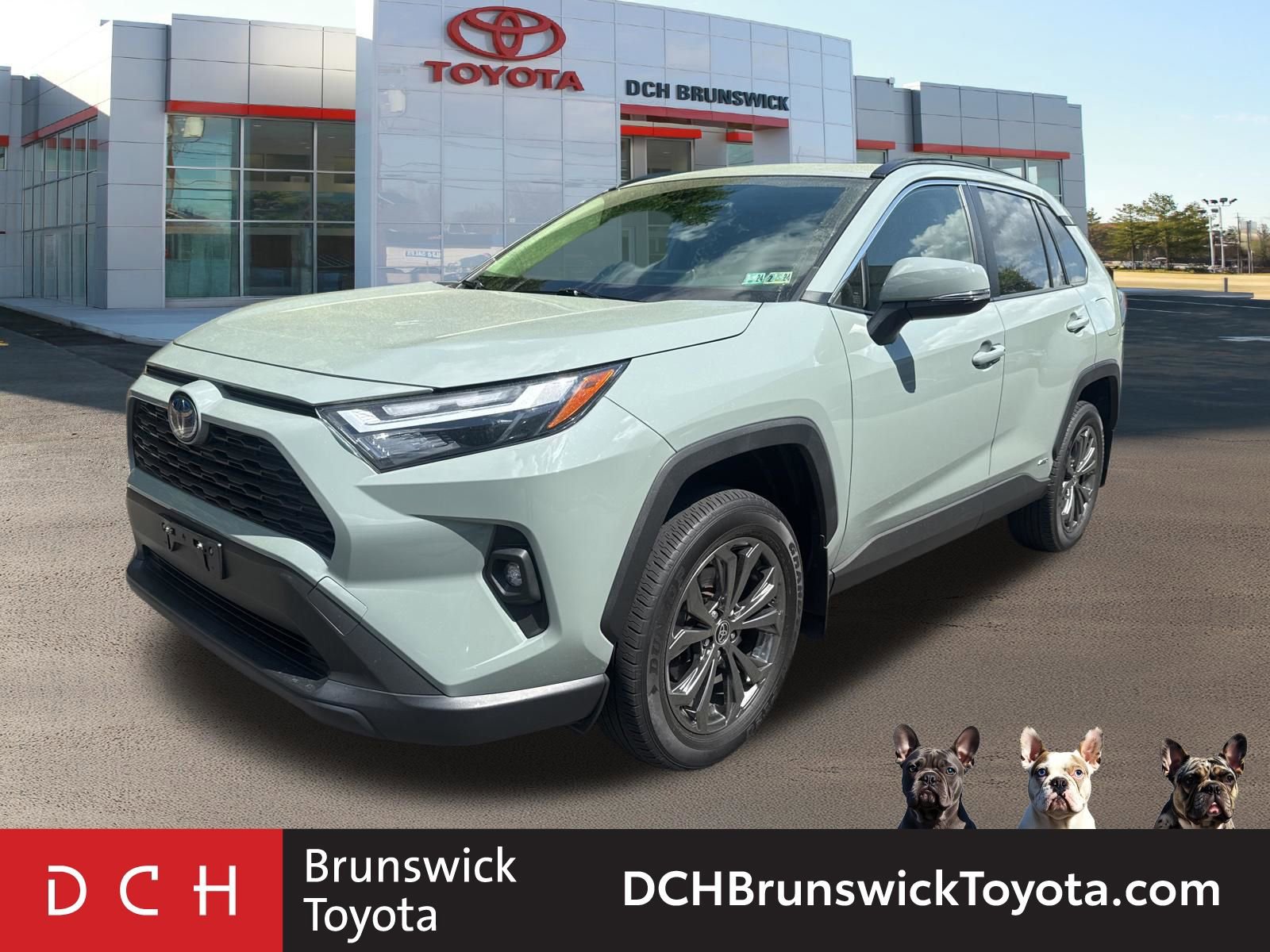2023 Toyota RAV4 XLE Premium -
                  North Brunswick Township, NJ