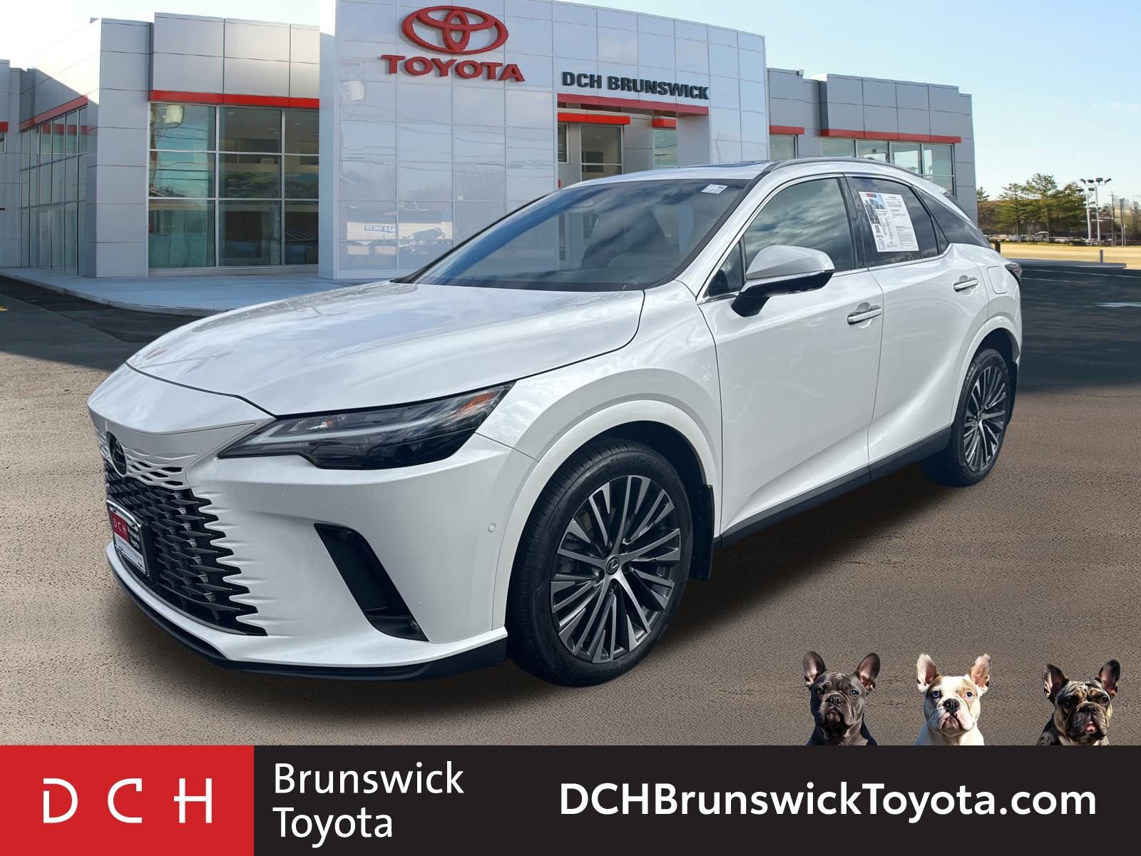 2023 Lexus RX 350's photo