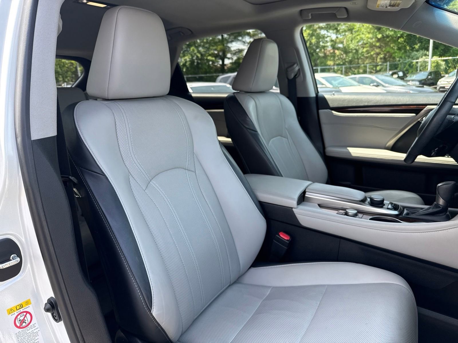 Thumbnail: 2018 Lexus RX - 22