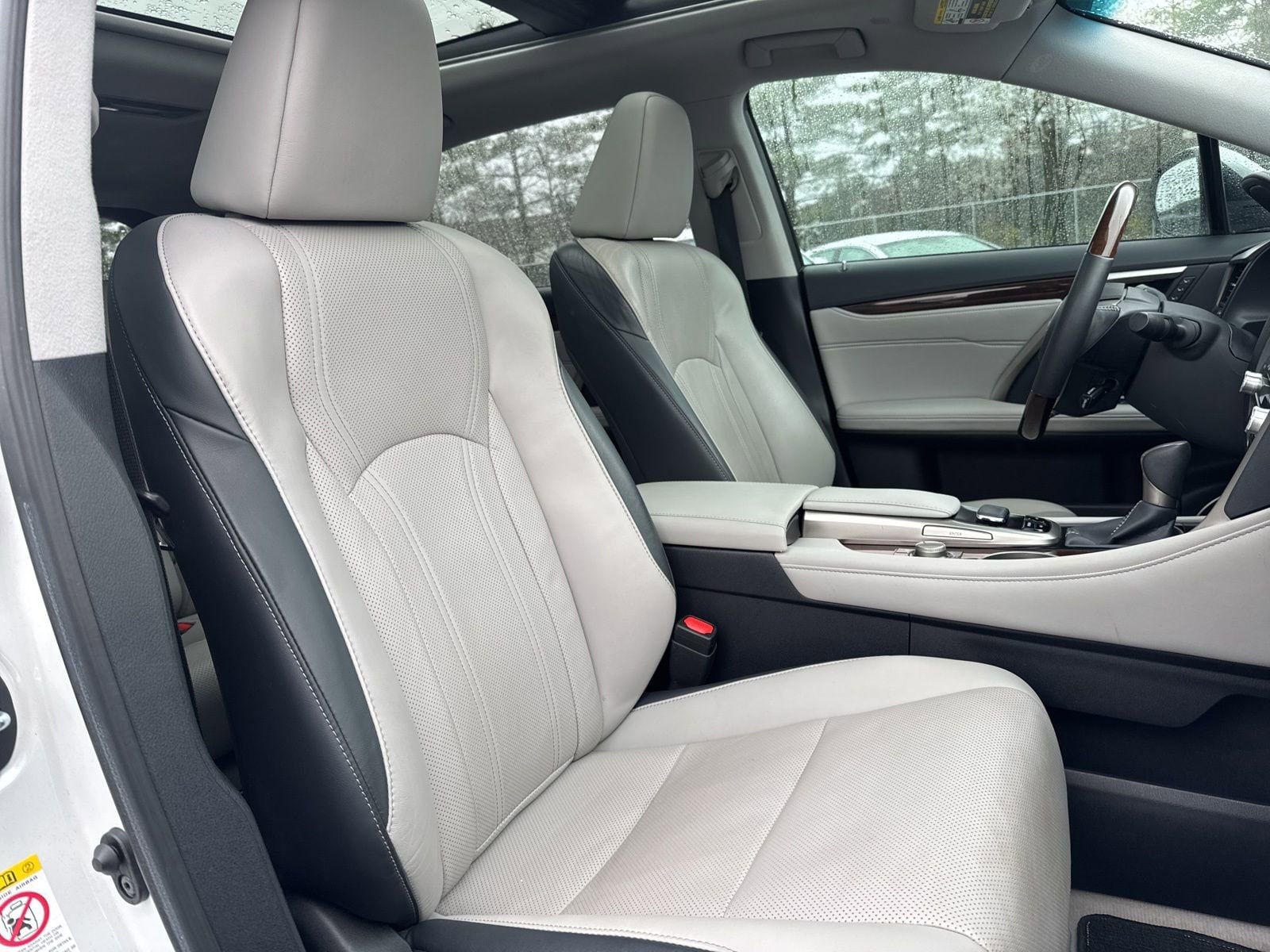 Thumbnail: 2019 Lexus RX - 22