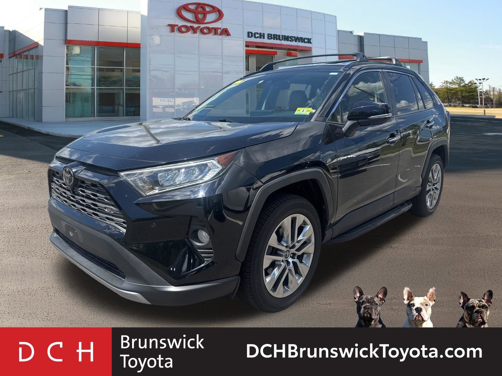 2019 Toyota RAV4 Limited -
                  North Brunswick Township, NJ