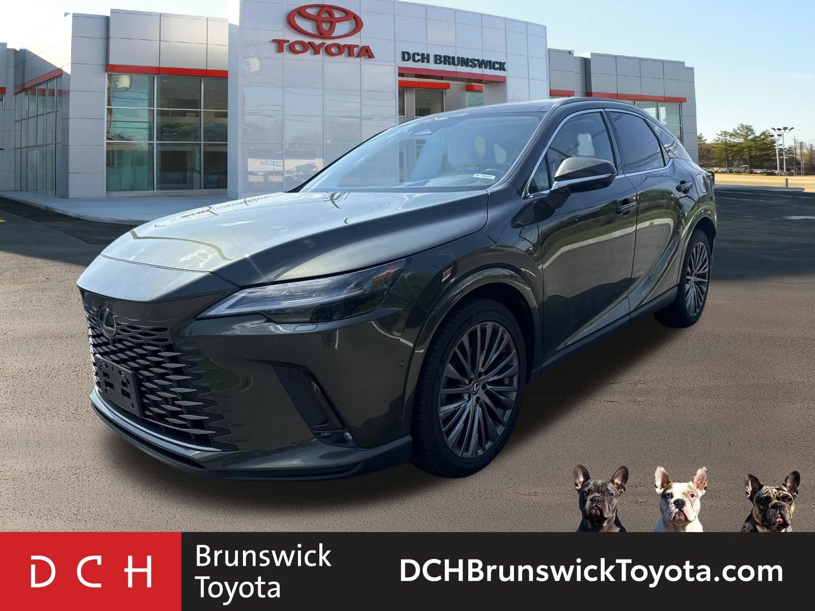 2024 Lexus RX 350 Luxury -
                  North Brunswick Township, NJ