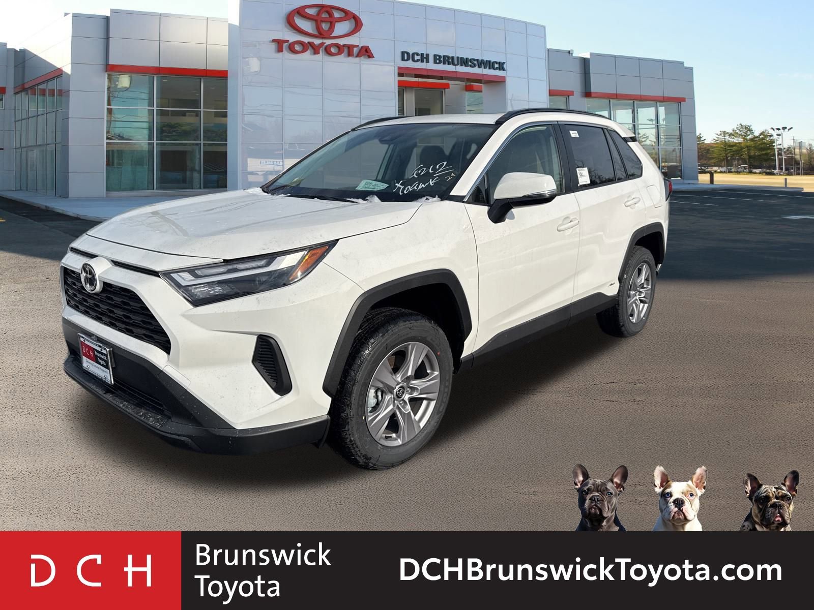 2025 Toyota RAV4 XLE's photo