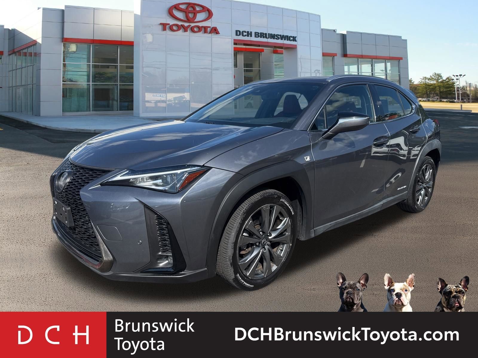 2019 Lexus UX 300h 250h F SPORT AWD's photo
