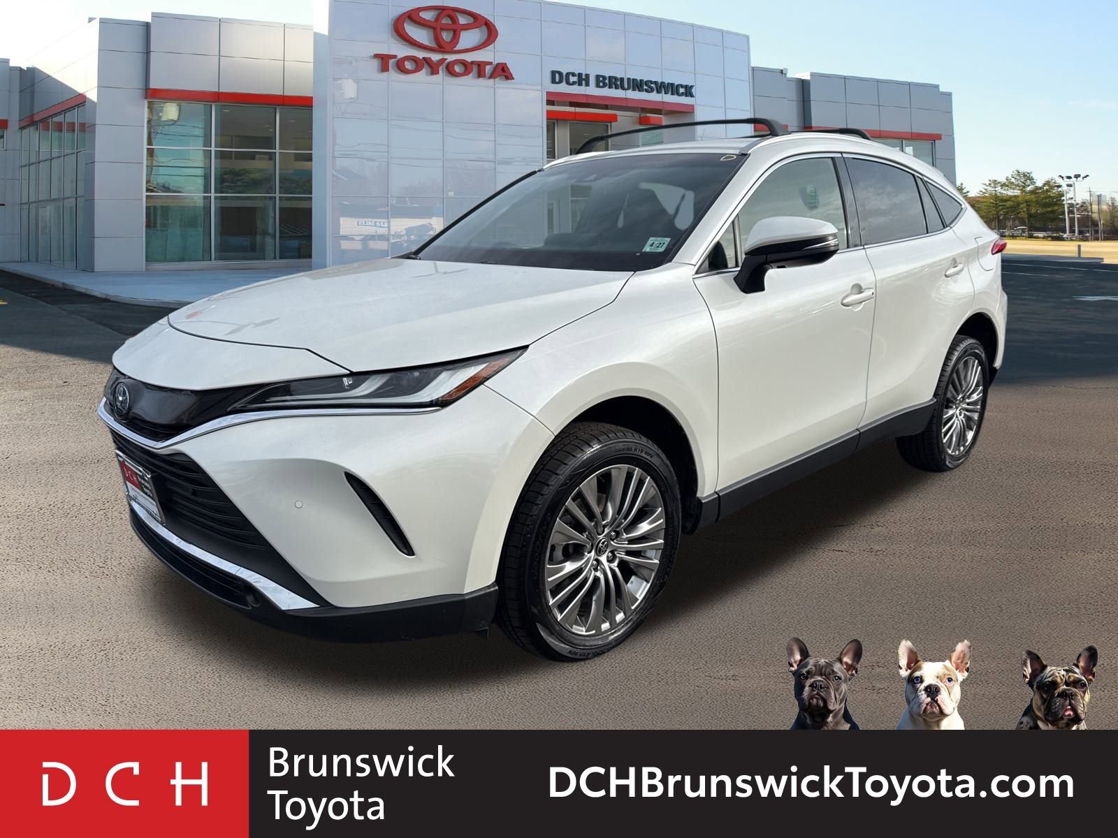 2022 Toyota Venza XLE's photo