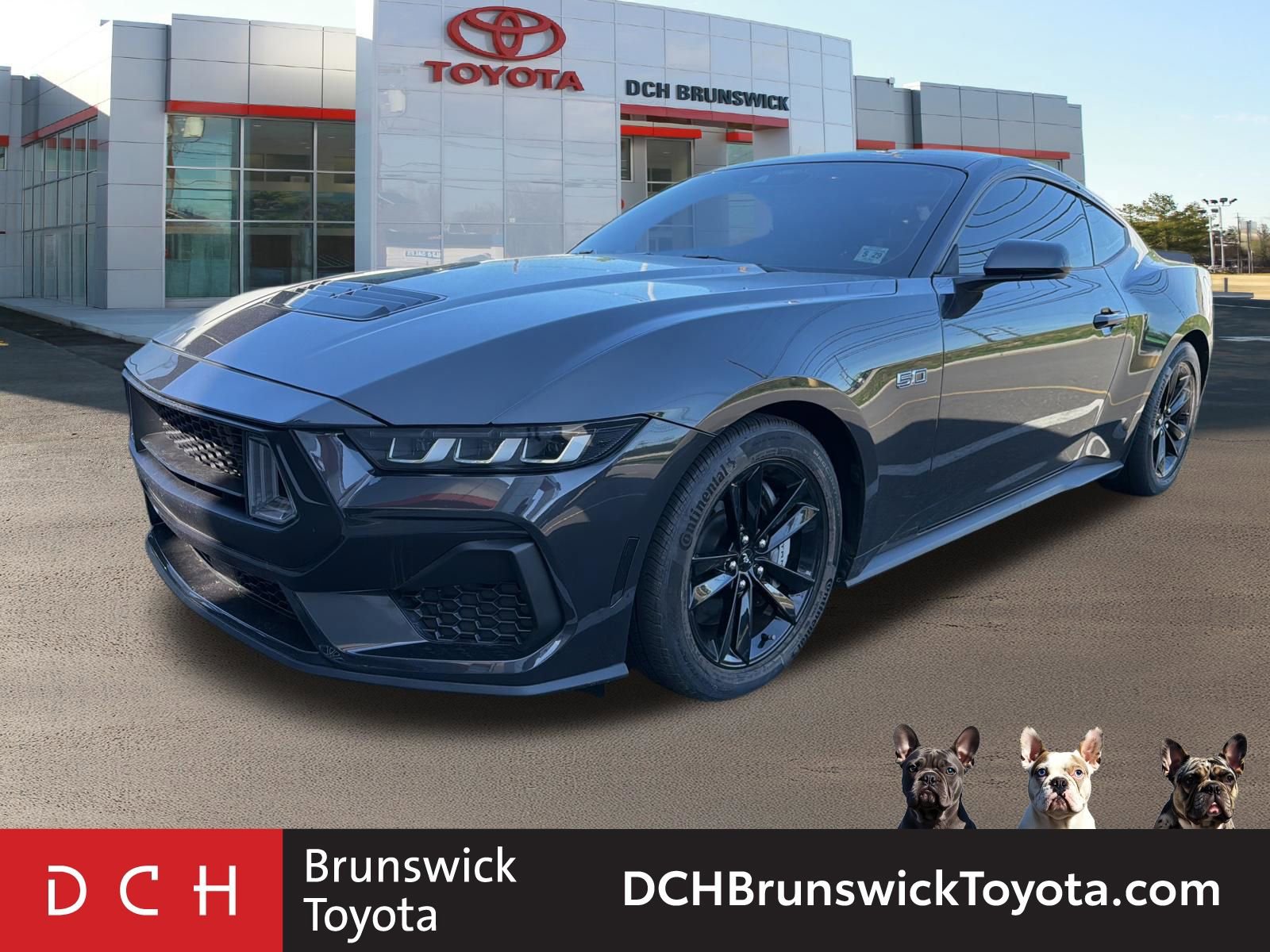 2024 Ford Mustang GT Fastback's photo
