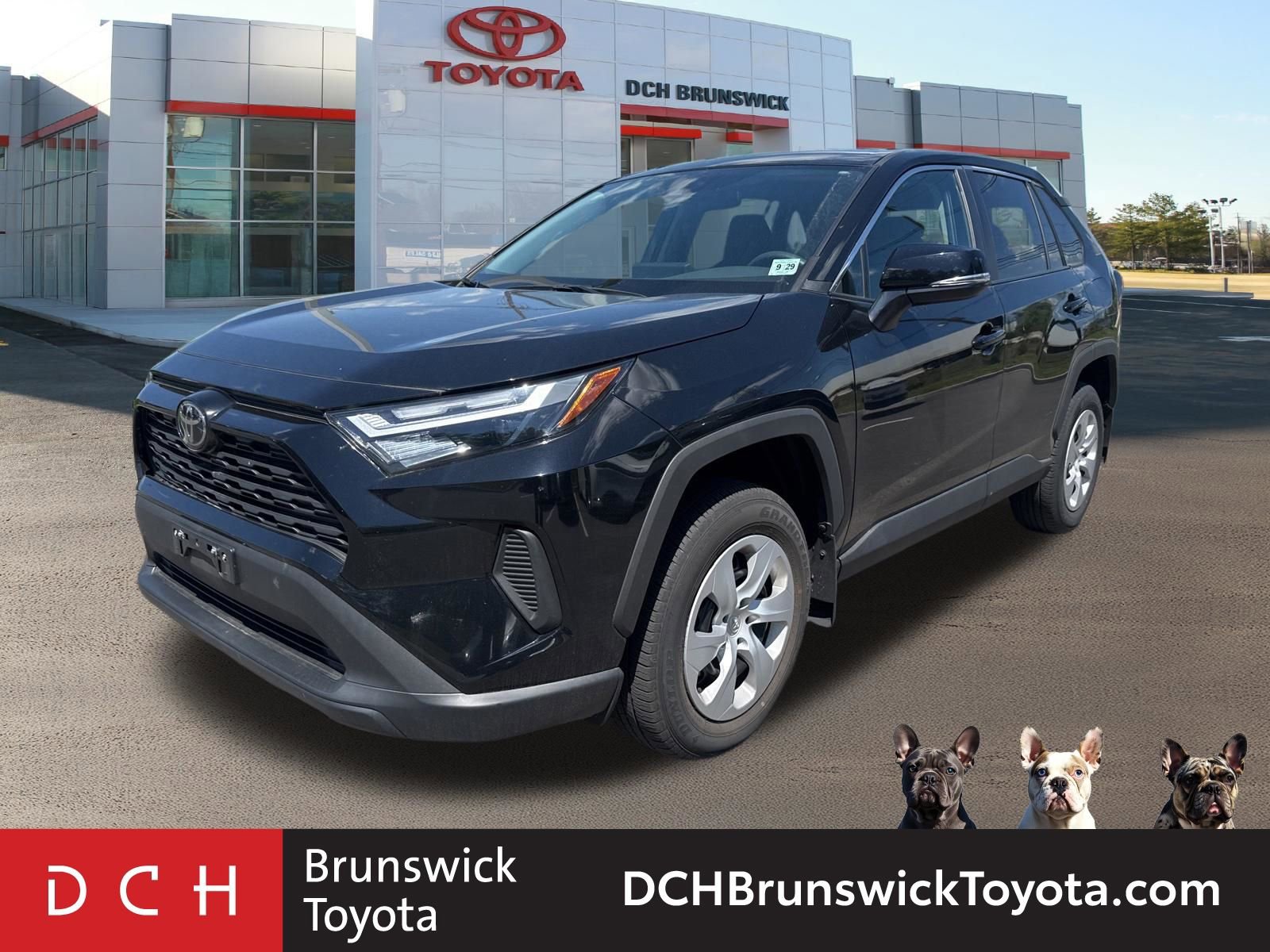 2024 Toyota RAV4 LE AWD's photo