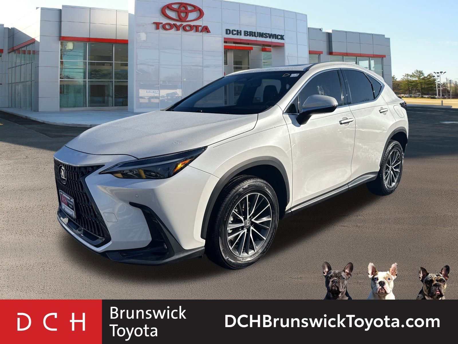 2023 Lexus NX 350's photo