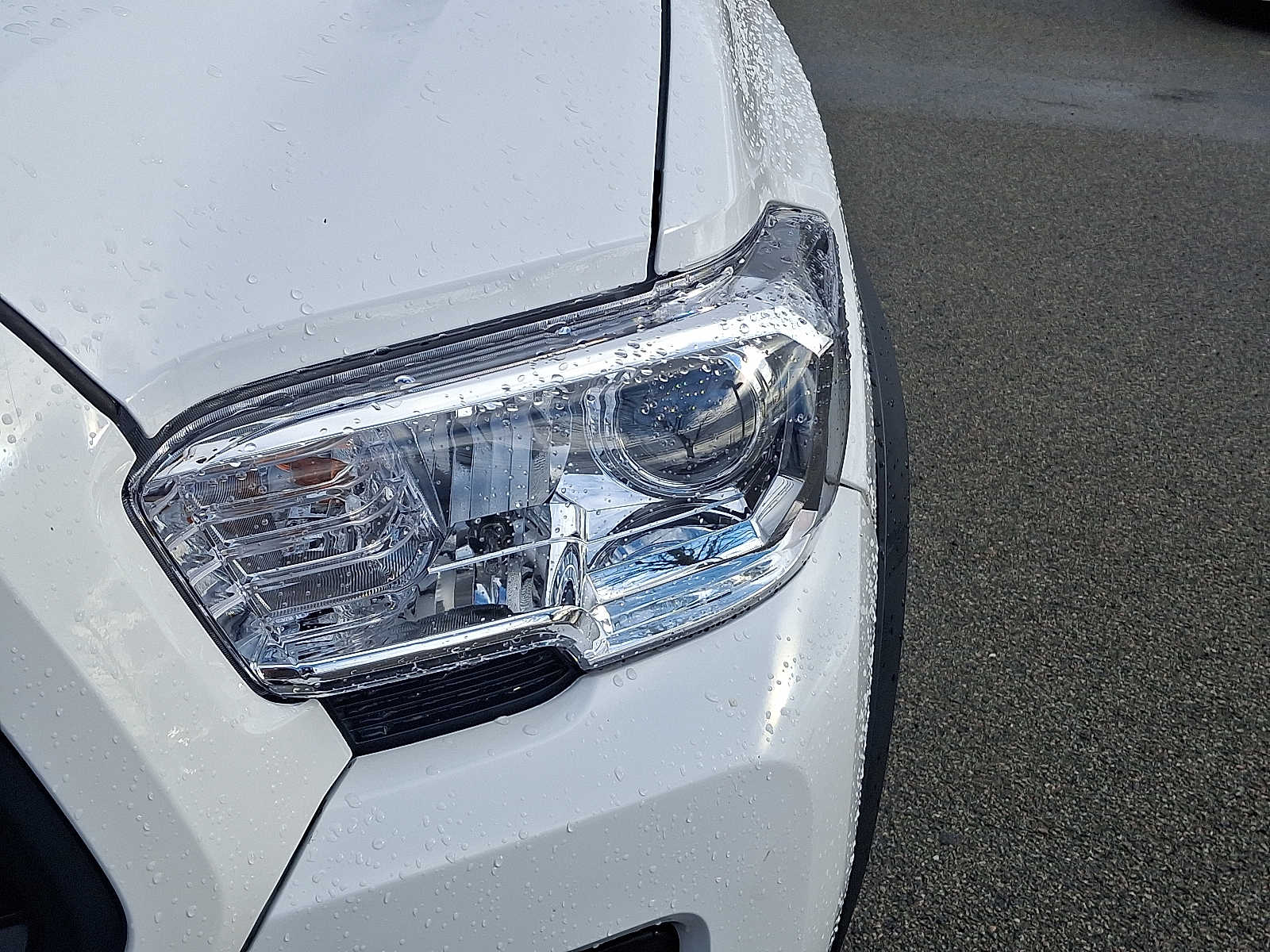 Thumbnail: 2019 Toyota Tacoma - 11