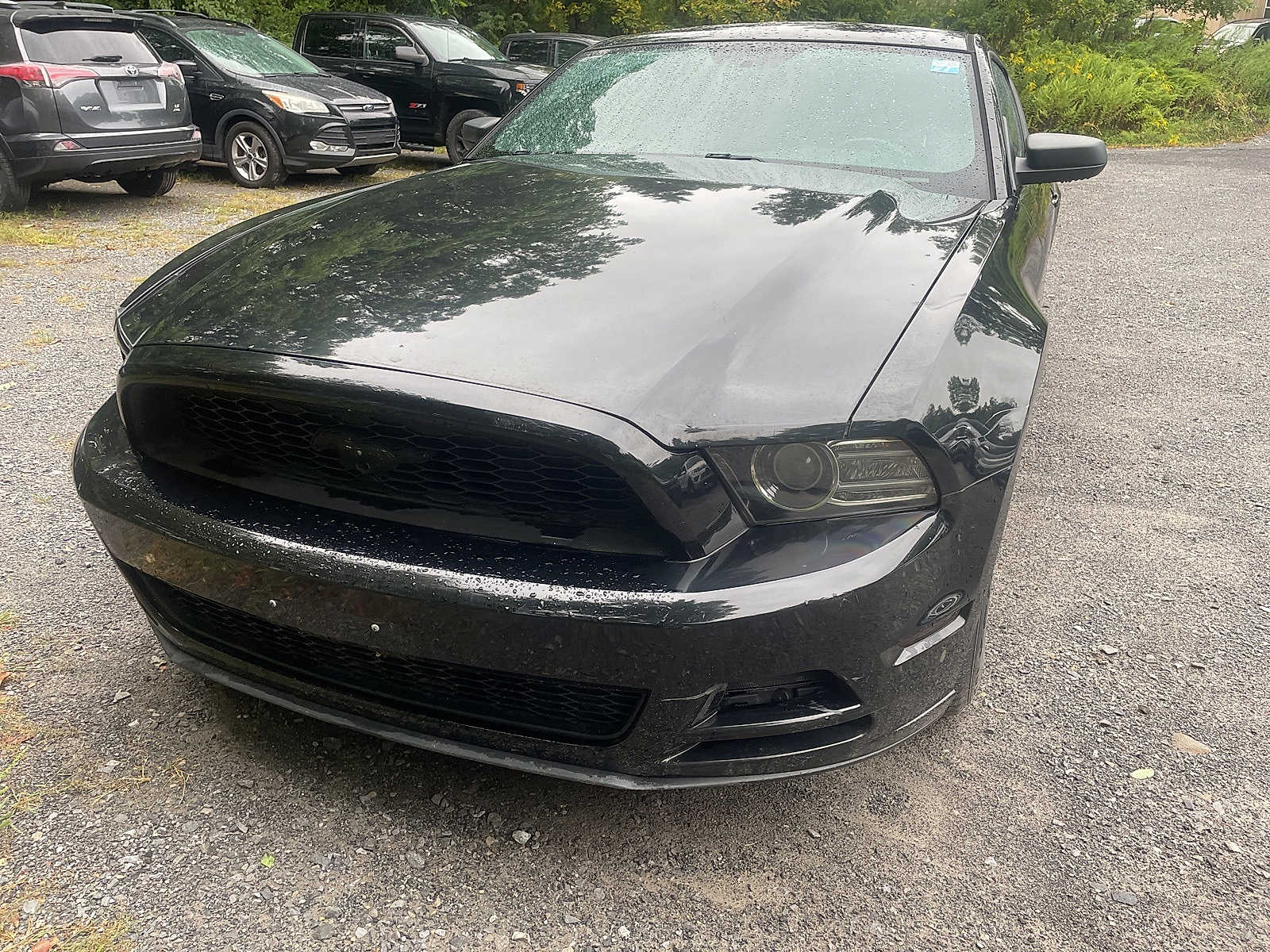 2014 Ford Mustang V6 -
                  Wappingers Falls, NY