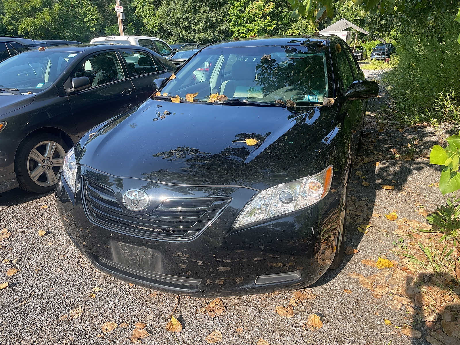 2009 Toyota Camry LE -
                  Wappingers Falls, NY